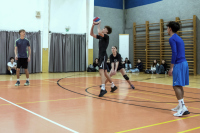 Volejbal