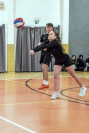 Volejbal