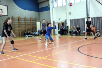 Volejbal